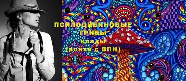 бошки Магас