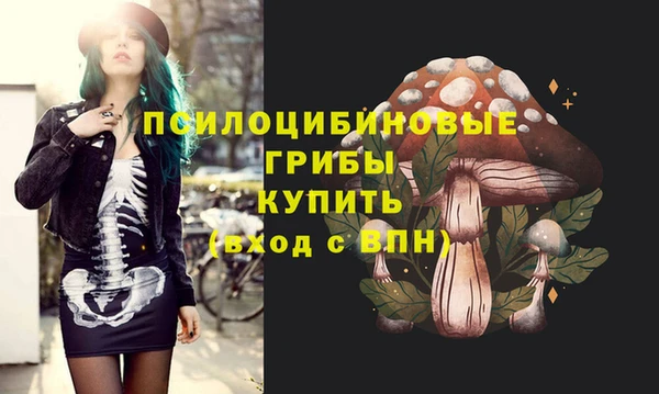 бошки Магас