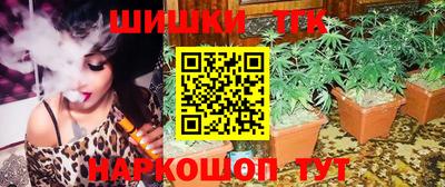 гашик Донской