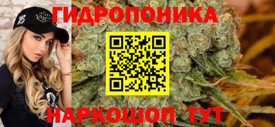 гашик Донской