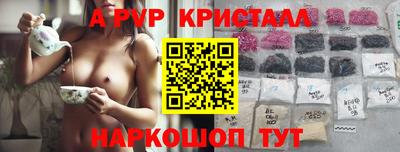 гашик Донской