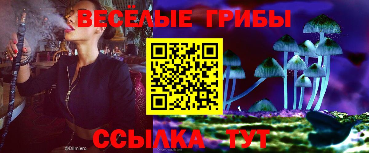 Дюртюли  Псилоцибиновые грибы Cubensis  Вход с VPN  Псилоцибиновые грибы Psilocybe 